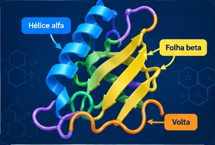 Modelo 3D da estrutura 1UBQ (Estrutura de proteínas), que pode ser girado na tela.