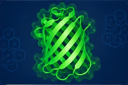 Modelo 3D da estrutura 1EMA (Proteína fluorescente verde), que pode ser girado na tela.