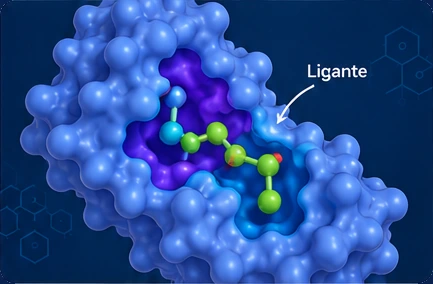 Modelo 3D da estrutura 1HVR (Docking molecular), que pode ser girado na tela.